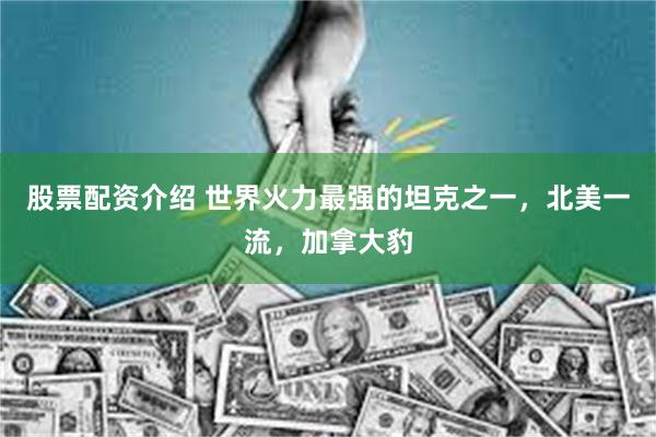 股票配资介绍 世界火力最强的坦克之一，北美一流，加拿大豹