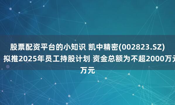 股票配资平台的小知识 凯中精密(002823.SZ)：拟推2025年员工持股计划 资金总额为不超2000万元