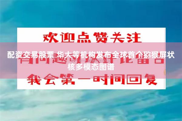 配资交易股票 华大等机构发布全球首个猕猴屏状核多模态图谱