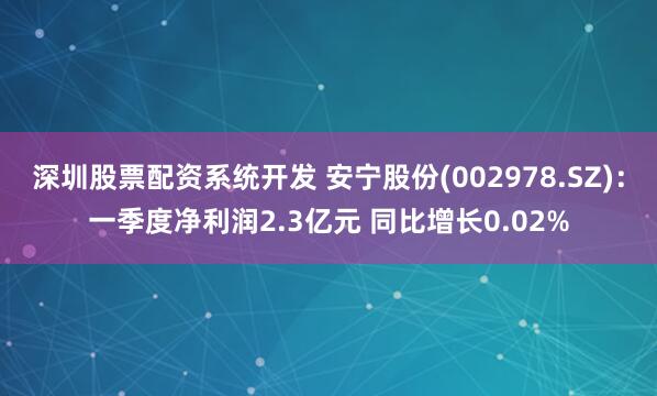 深圳股票配资系统开发 安宁股份(002978.SZ)：一季度净利润2.3亿元 同比增长0.02%