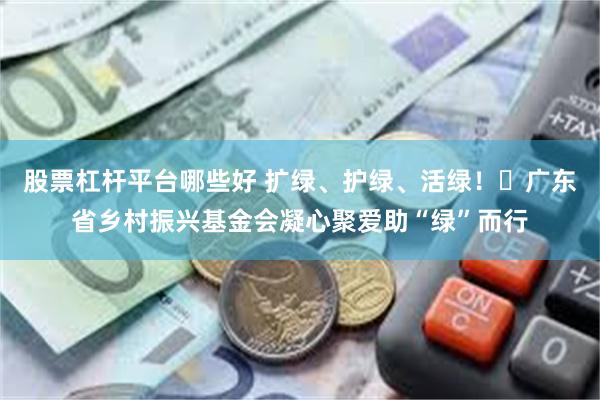 股票杠杆平台哪些好 扩绿、护绿、活绿！​广东省乡村振兴基金会凝心聚爱助“绿”而行