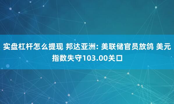 实盘杠杆怎么提现 邦达亚洲: 美联储官员放鸽 美元指数失守103.00关口