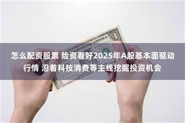 怎么配资股票 险资看好2025年A股基本面驱动行情 沿着科技消费等主线挖掘投资机会