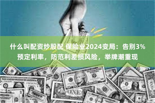 什么叫配资炒股配 保险业2024变局：告别3%预定利率，防范利差损风险，举牌潮重现
