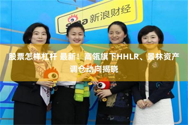 股票怎样杠杆 最新！高瓴旗下HHLR、景林资产调仓动向揭晓