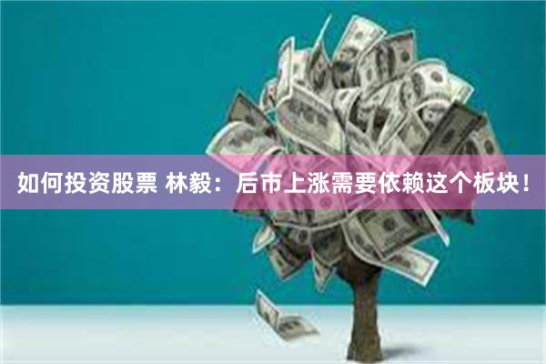如何投资股票 林毅：后市上涨需要依赖这个板块！