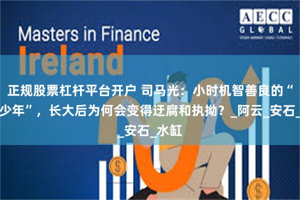 正规股票杠杆平台开户 司马光：小时机智善良的“砸缸少年”，长大后为何会变得迂腐和执拗？_阿云_安石_水缸