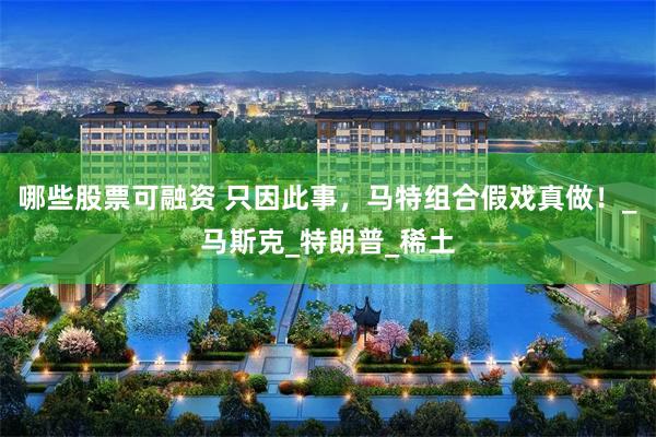 哪些股票可融资 只因此事，马特组合假戏真做！_马斯克_特朗普_稀土