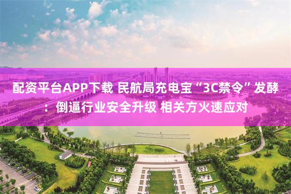 配资平台APP下载 民航局充电宝“3C禁令”发酵：倒逼行业安全升级 相关方火速应对