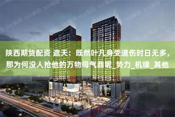 陕西期货配资 遮天：既然叶凡身受道伤时日无多，那为何没人抢他的万物母气鼎呢_势力_机缘_其他