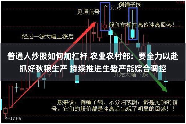 普通人炒股如何加杠杆 农业农村部：要全力以赴抓好秋粮生产 持续推进生猪产能综合调控